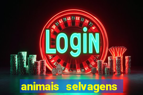 animais selvagens fotos e nomes